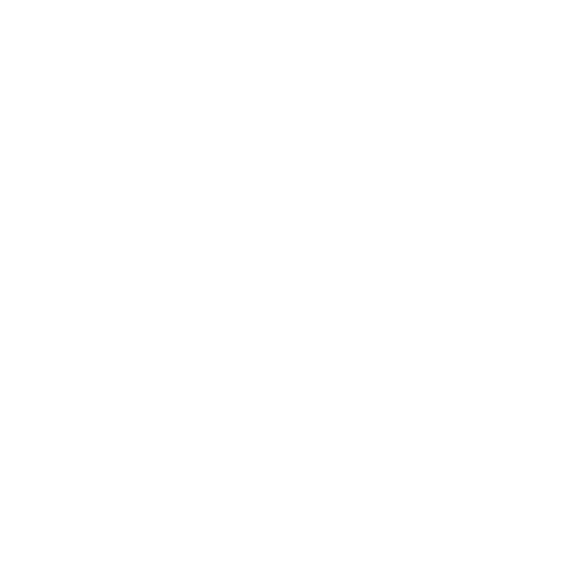 Boucher Auto Group