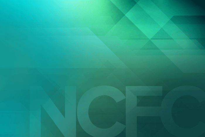 Diversifying Dealership Income with NCFC (Non-controlled Foreign Corporation)